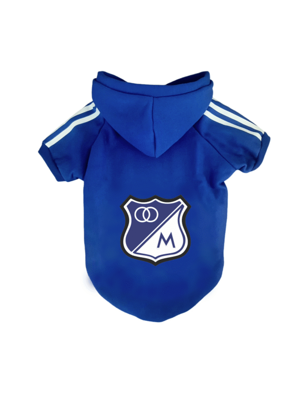 Buzo Millonarios
