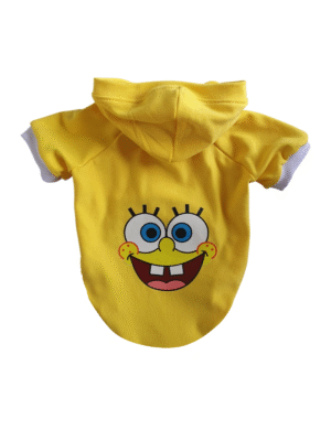 Buzo Bob esponja
