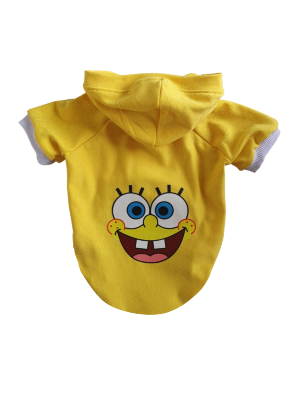 Buzo Bob esponja