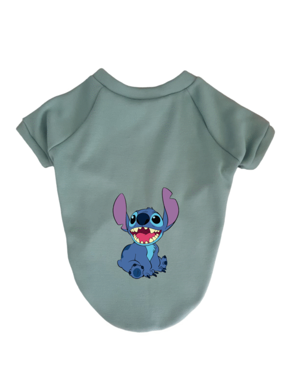 Buzo Stitch