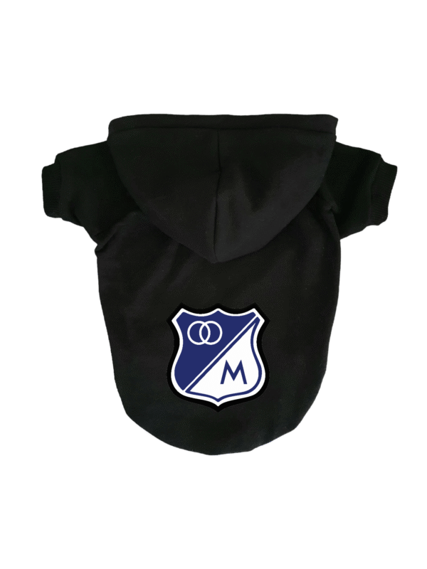 Buzo Millonarios