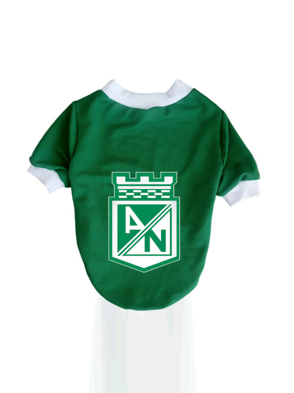 Buzo Nacional