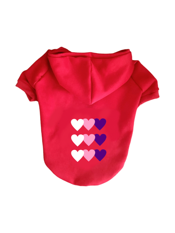 Buzo Corazones