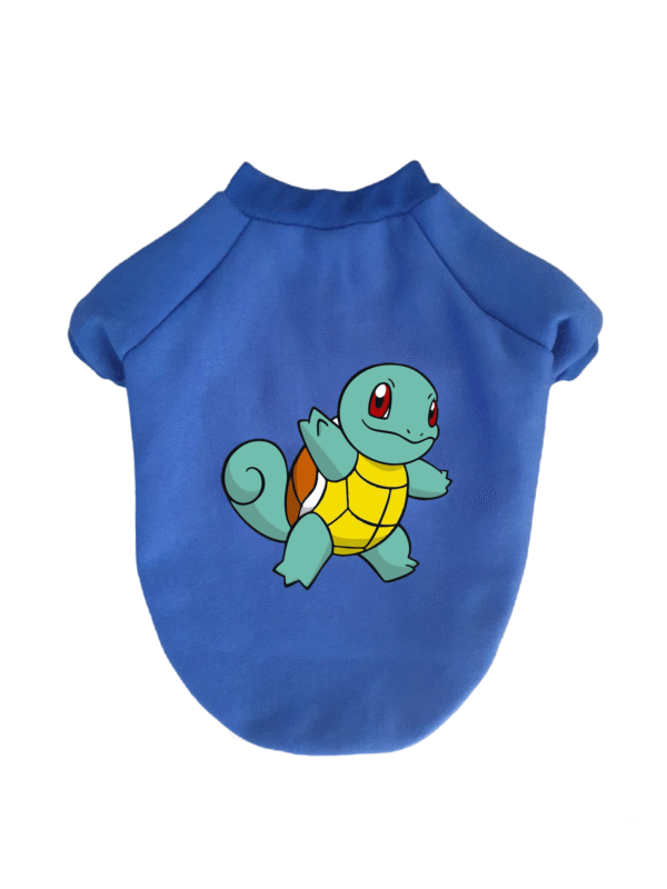 Buzo Pokémon