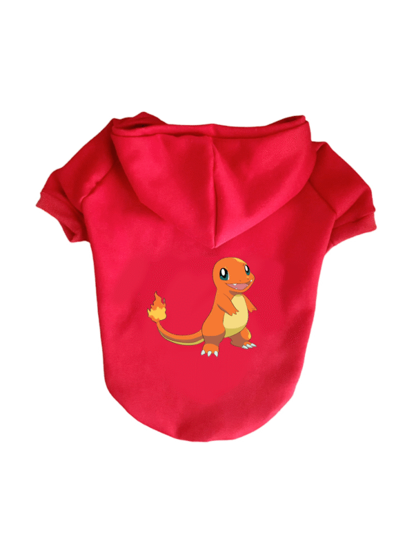 Buzo Pokémon