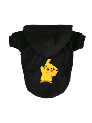 Buzo Pokémon