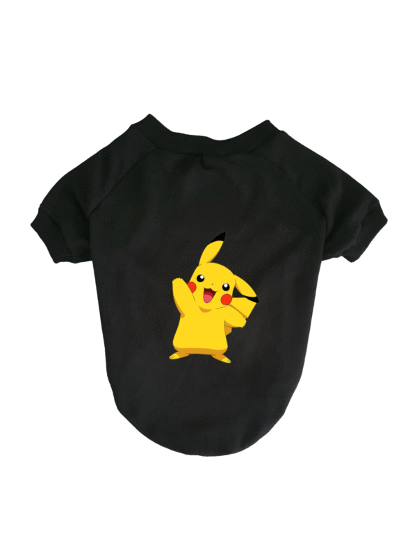 Buzo Pokémon